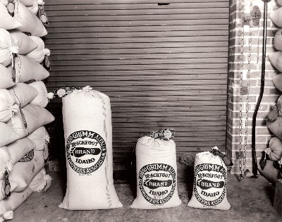 Various Bag Sizes